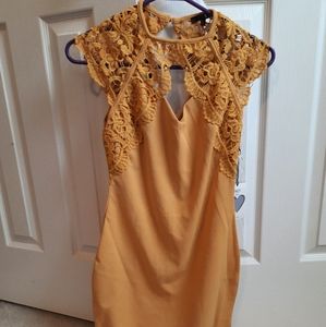 Lace collar cocktail dress